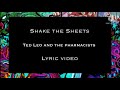 Shake the Sheets by Ted Leo and the Pharmacists - lyrics