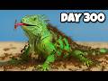 Simulating A Desert For 300 Days Can This Ant Colony Survive ANTTREK