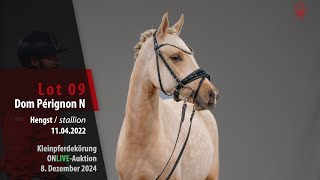 Video koně Dom Pérignon N
