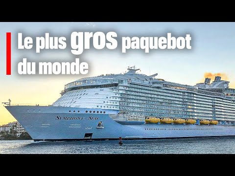 En croisière sur le géant des mers