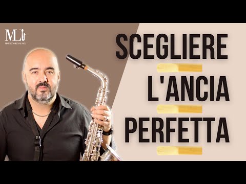 Quale ancia è giusta per me?