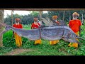Giant Swordfish Kosha Cooking For Special People Massive Pakhi Fish Vuna Curry Recipe Of Grandpa
