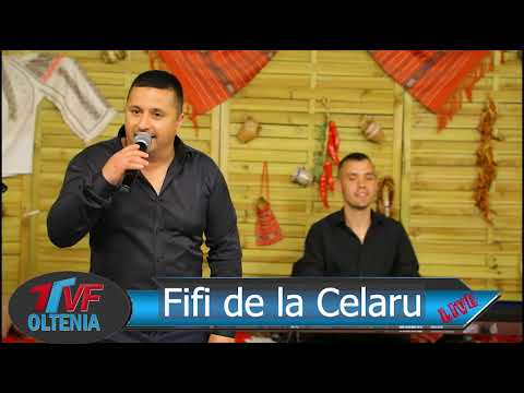 BELEA de SARBE ❌ Fifi de la Celaru ❌ Cele mai ale DRACU SARBE de joc ❌Muzica de petrecere