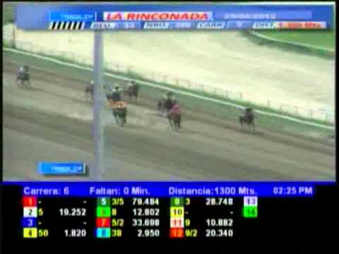 Resumen, Domingo, 29 de Abril de 2012 - La Rinconada