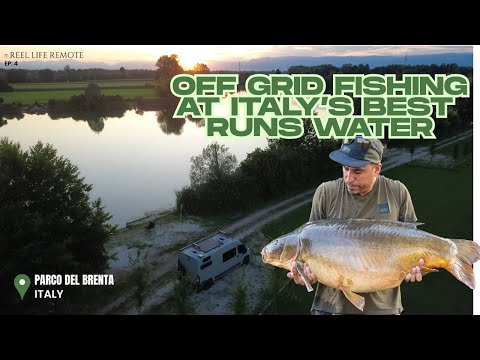 Off Grid Fishing at Italy’s BEST Runs Water - Parco Del Brenta, June 2025