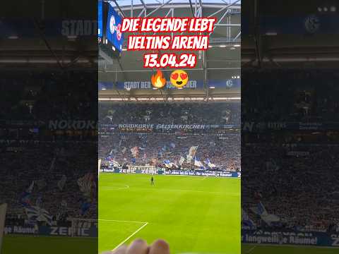 Schalker und Nürnberger singen gemeinsam "Die Legende Lebt" 13.04.24 #shorts #s04 #fcn #fußball