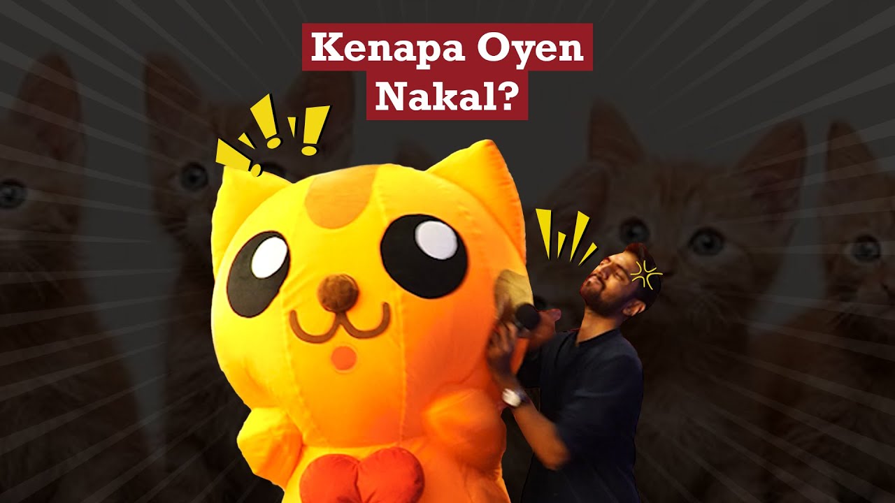 Fakta tentang Oyen! Meoww