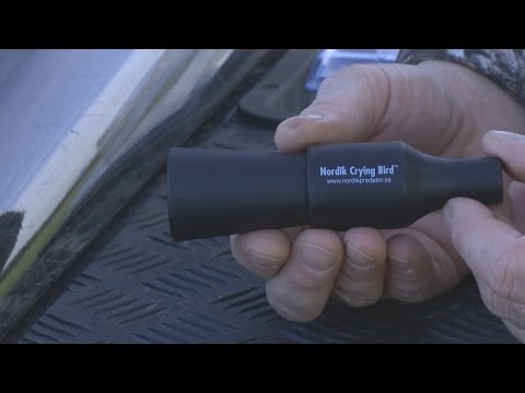 Nordik Vogelangstgeschrei Crying Bird