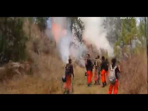 Incendio forestal arrasa con hectáreas de bosque de pino en Nueva Segovia