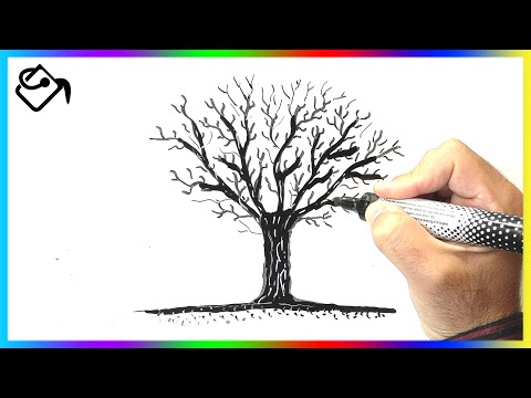 Comment dessiner un ARBRE sans feuille dessin FACILE
