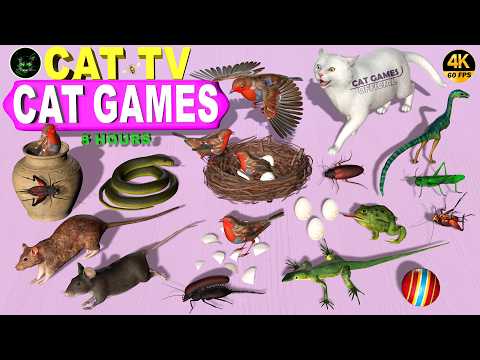 CAT GAMES | ULTIMATE CAT FAVOURITE VIDEO FOR FELINE FRIENDS | BEST CAT TV FOR CATS TO WATCH😻4K 60FPS