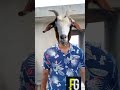 Puratasi Masam Part2 Shorts Pavangal