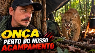 ONÇA PERTO DO NOSSO ACAMPAMENTO. 
