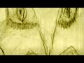 DVAR - hissen raii 