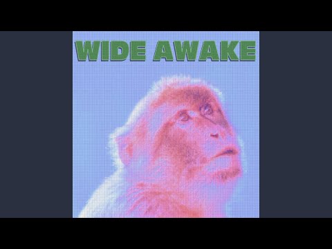 Wide Awake