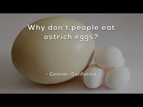 Why don't people eat ostrich eggs?