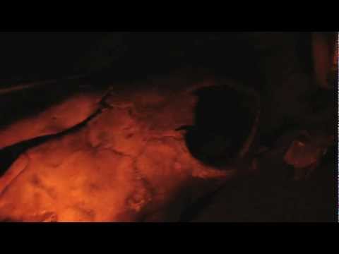 VESTA - Homo Gothikus - promo 2012