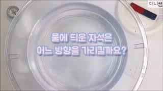 [미니쌤 과학 실험]-물에 띄운 자석이 가리키는 방향 관찰하기