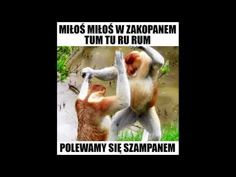 Miłość w Zakopanem - zespół Atut z Dęblina (z rep. Sławomir).
