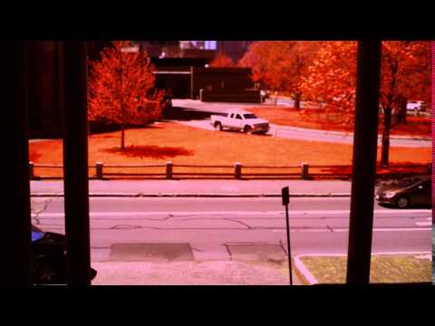 Infrared false-color test