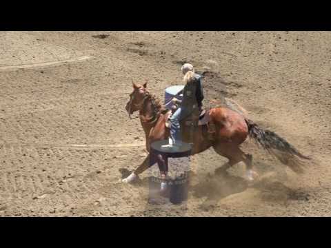 Kim Smith and Datsa Lita Playmate CUPCAKE 17.384 Hermiston 4-30-17