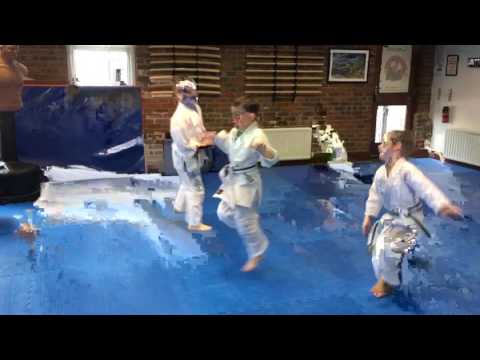 Saturday 12-1pm Aikido Children's class