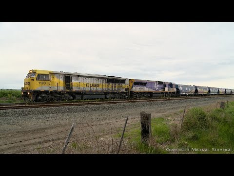 QUBE Grain Train With 1103 & CM3312 (1/9/2019) - PoathTV Australian Railways