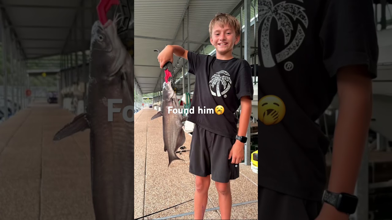 Found him #catfishing #fishing #bigfishvideos