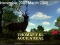 Remake Recreations Of Title Cards Of Thomas And Friends Latin America Dk 2006 2009