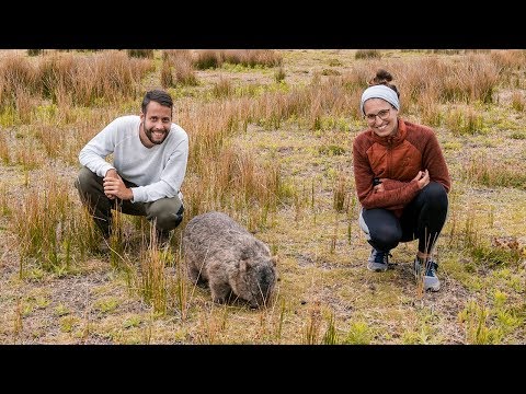 Wilsons-Promontory-Nationalpark | Australien 🇦🇺 | Vlog #14
