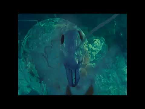 Upscaled: les Boucles Étranges - u man loop