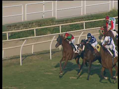 Galoppo 27/01/2018 - 2ª corsa