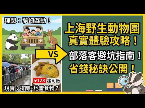 黑熊貼車窗、袋鼠零距離！上海野生動物園最真實的一天