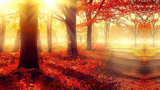 Calm Your Mind in Autumn Nature 🍁 Relaxing Piano Music for Healing and Balance