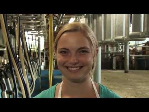 Fabienne Kamber Teil 1: Zwei Begegnungen und ein neuer Stall