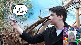 Flyway - Kero Kero Bonito METAL GUITAR COVER || MaximumGuitar