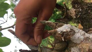 Máy Xúc HitaChi 135