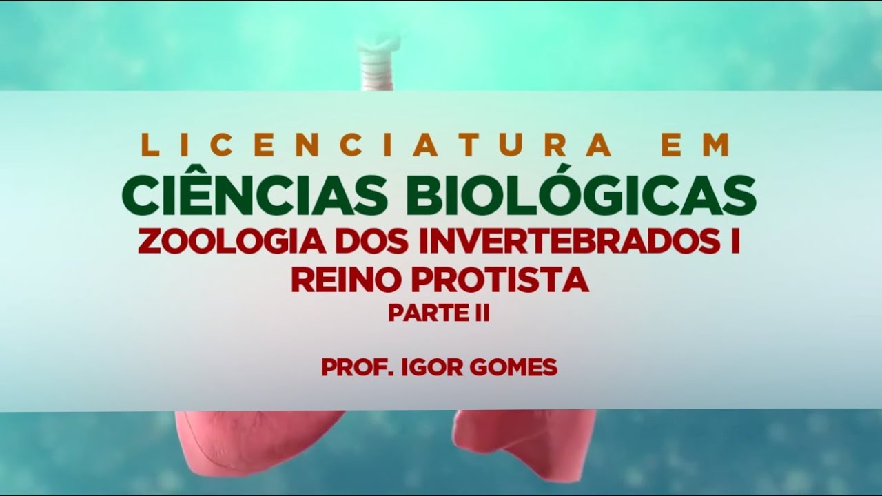 Zoologia dos Invertebrados I –  Reino Protista