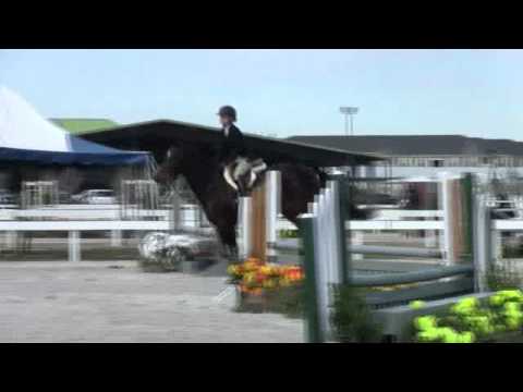 Video of MTM STELLAR ridden by HANNAH NEWTON from ShowNet!