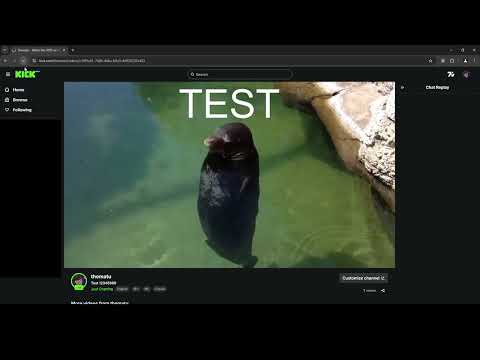 Item video thumbnail