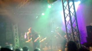 Domine  - The Hurricane Master