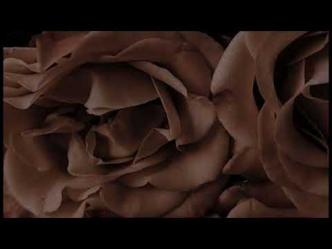 DJ ZYOM  x SEXY CHOCOLAT [ REMIX 2K22]