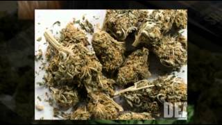 2Pac - Smoke weed all day [Special].