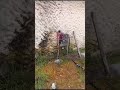 Home 14 Video thumbnail