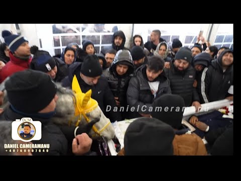 TRAGEDY IN IALOMITA - Vali Birlic ✅ 2025 ✅