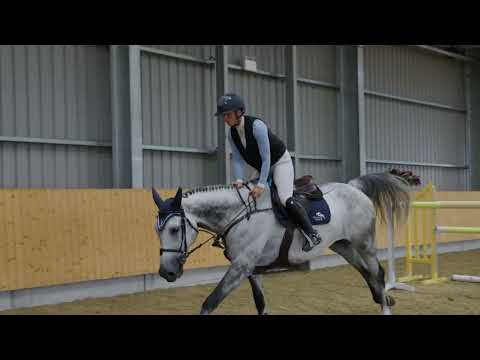 heutric van beek jumping