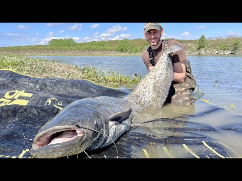 *** Catfishing in the flood river *** -  Siluri con la piena