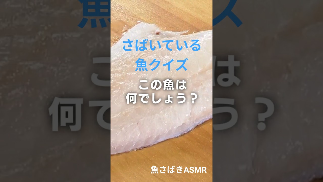 さばいている魚クイズ #さばけるチャンネル #ASMR #fish #魚 #釣り #料理 #cooking #japanese