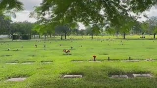 Fort Lauderdale faces backlash over cemetery plot mix-up