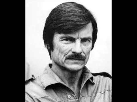 Tarkovsky's and Bergman's elisions to draw in the audience